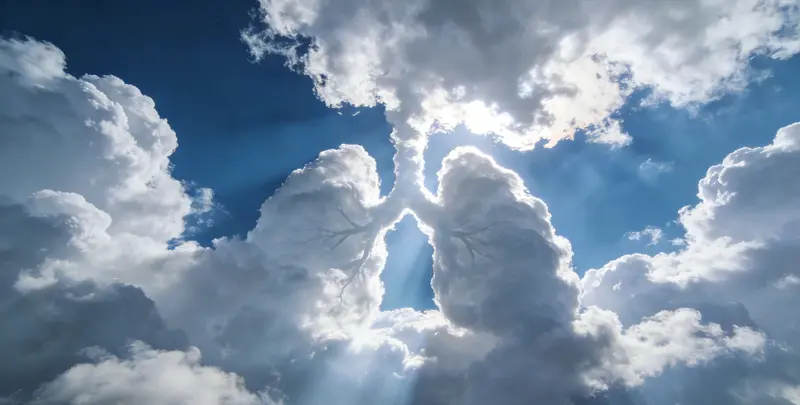 张掖肺癌8基因突变检测（组织）图片1