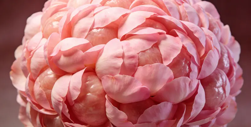 张掖BRCA1/2乳腺癌卵巢癌基因检测图片1